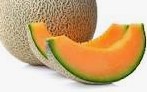 Rockmelon